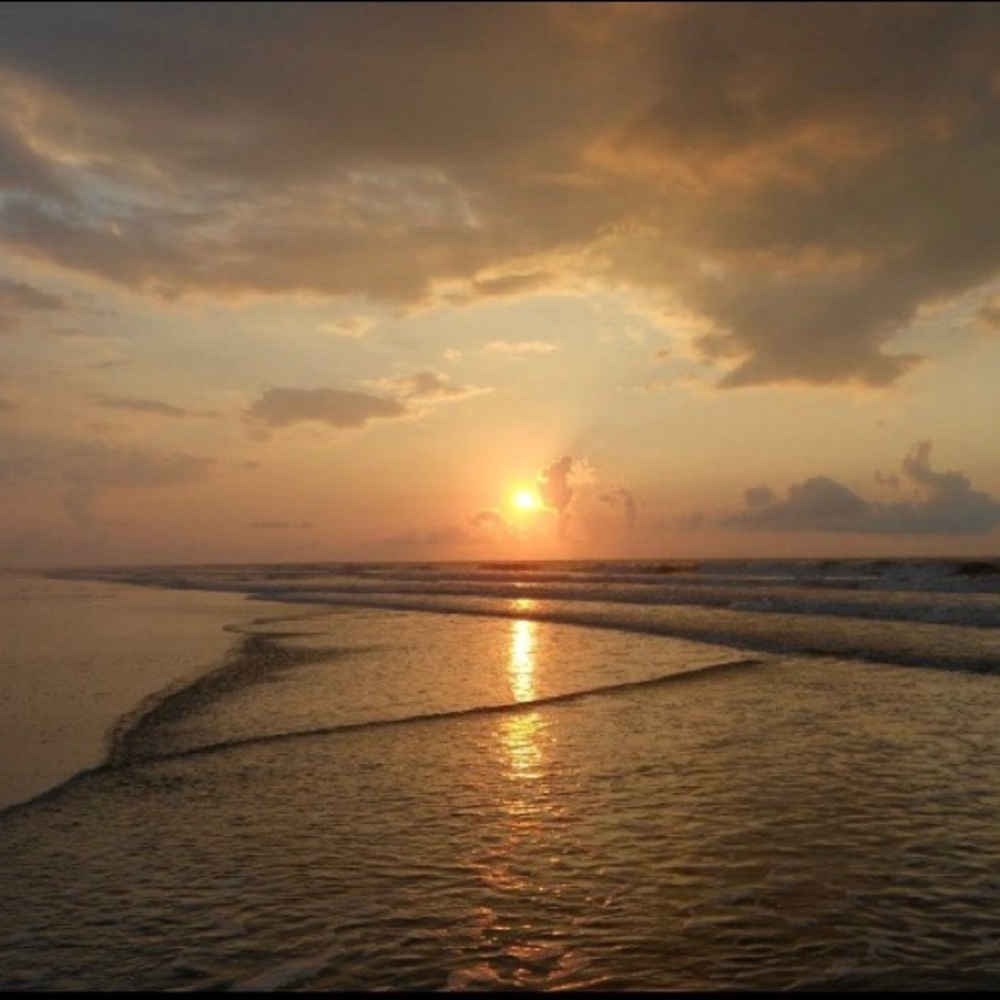 Meet your Posher, Claudia